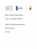 Importancia De gestión De Capital Humano En La Practica Laboral De Un Ingeniero