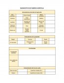 Ficha de diagnostico agricola