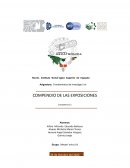 COMPENDIO DE LAS EXPOSICIONES