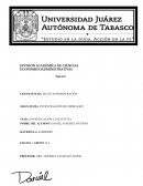 INVESTIGACIÓN CUALITATIVA