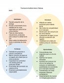 Tecnicas de analisis interno clasicas ejemplos