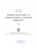 La constitución y el derecho ambiental