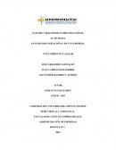 Analisis y diagnostico organizacional ETB