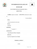 Informe de practica de la isla corazón