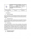 PROCEDIMIENTO DE INDENTIFICACIÓN DE PELIGROS Y EVALUACIÓN DE RIESGOS LABORALES