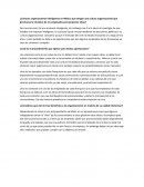 Organizaciones inteligentes en México