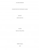 ANALISIS DE RIESGOS. PLANIFICACION DE UN SISTEMA DE CALIDAD