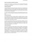 PRACTICA DERECHO CONSTITUCIONAL