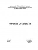 Identidad Universitaria venezolana