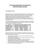 Taller de precio, equilibrios varias líneas . Caso Hydrotécnicas SAS