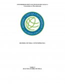 HISTORIA MUNDIAL CONTEMPORÁNEA