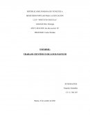 Louis Pasetur - Informe de su Experimento