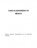 Caso algodonero vs México