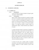 PROYECTO DE INVERSION. YAWAR HAMPIQ