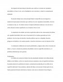 Análisis de Impacto Social, consumo de vapeadores desechables en Nuevo León