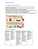 CIENCIAS NATURALES LA CLASIFICACIÓN DE LOS ANIMALES