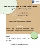 Ensayo “Del desarrollo sostenible según Brundtland a la sostenibilidad como biomimesis”