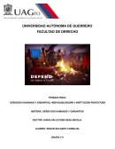 DERECHOS HUMANOS Y GARANTIAS, INDIVIDUALIZACIÓN Y INSTITUCION PROTECTORA