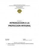 Proteccion integral