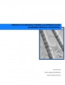 Defectos en la estructura cristalina