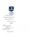 Analisis de Bloodline , sistemas familiares