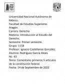 Comentario primeros 5 artículos de la constitución federal