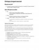 Enfoque biopsicosocial