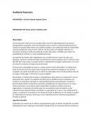 Trabajo final auditoria financiera
