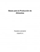 Bases para la Producción de Alimentos