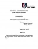 CAMPOS ELECTROMAGNÉTICOS