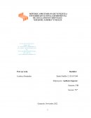 Pasivo y Activo auditoria superior