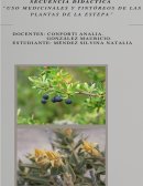 Secuencia Didáctica “Uso medicinales y tintóreos de las plantas de la estepa”