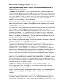 Anatomia de tráquea y pulmones