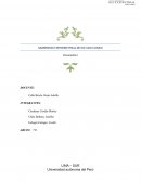 ANAMNESIS E INFORME FINAL DE UN CASO CLINICO