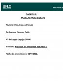 Ocio y desarrollo humano