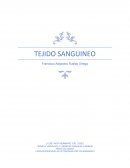 TEJIDO SANGUINEO