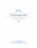 TEJIDO SANGUINEO