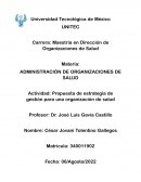 Actividad: Propuesta de estrategia de gestión para una organización de salud