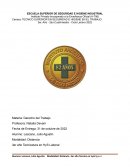 MECÁNICA DE OCURRENCIA DEL ACCIDENTE ‘’PUENTE GRUA’’