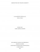 EJERCICIO PRACTICO “DESADUANAMIENTO”