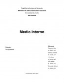 Medio Interno