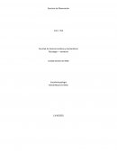 Ejercicio de Observación