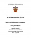 Trabajo: Lectura “El porqué de los usos de los aminoácidos”