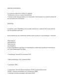 Temas de endocrino- patologia