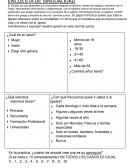 ENCUESTA DE SINODALIDAD