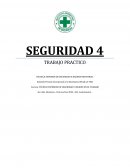 TRABAJO PRÁCTICO DE SEGURIDAD IV 2022 SEGURIDAD CONTRA INCENDIOS