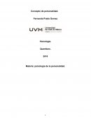 Concepto de personalidad