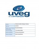 Organigrama para la empresa Escuela Dos Mundos