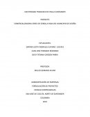 COMERCIALIZADORA CEBEX DE CEBOLLA ROJA DEL MUNICIPIO DE OCOÑA