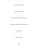 Servicios Micro financieros Dominós Pizza